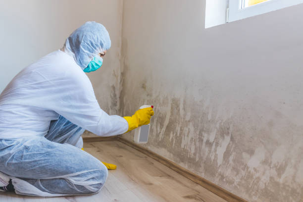 Mold Remediation specialist working in Quarryville